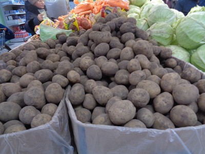 DSC09868.JPG (362.06 KiB) Visto 84336 veces DSC09868.JPG