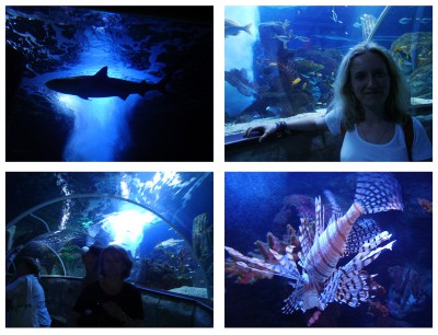 Sin título-1.jpg (1.93 MiB) Visto 37734 veces Sin título-1.jpg