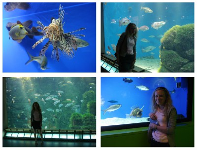 Sin título-2.jpg (1.49 MiB) Visto 37734 veces Sin título-2.jpg