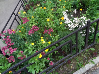 DSC03724.JPG (5.55 MiB) Visto 23195 veces DSC03724.JPG